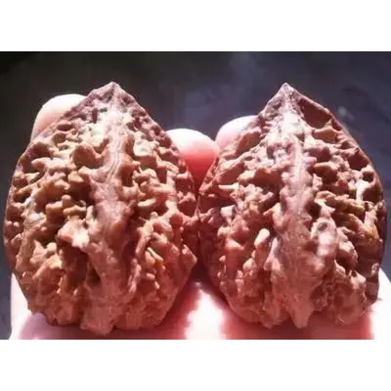 胖东来同款秋子核桃东北野生文玩麻粗筋半壁自然成熟落果上色代购 1对