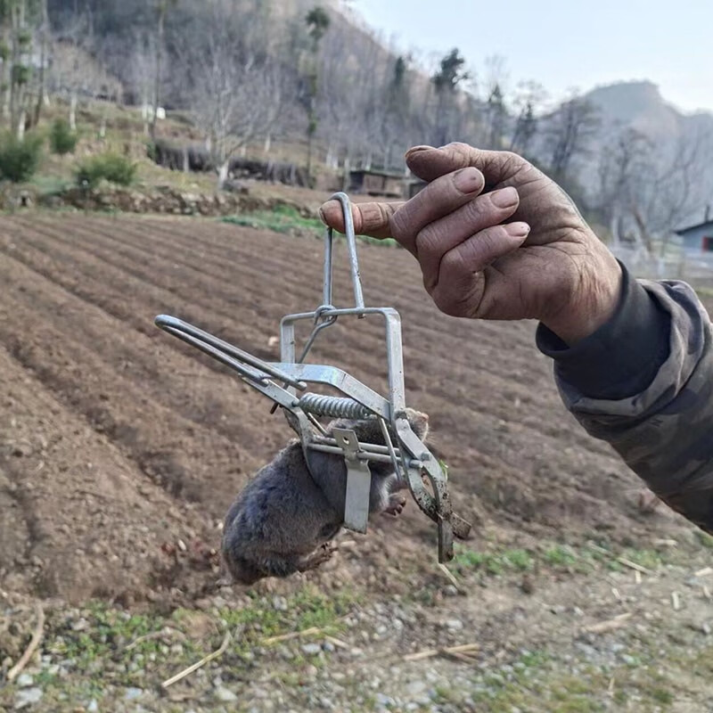 比特芬鼹鼠夹 地老鼠夹子 全自动捕鼠器哈哈鼠夹子地排子夹子 3个装