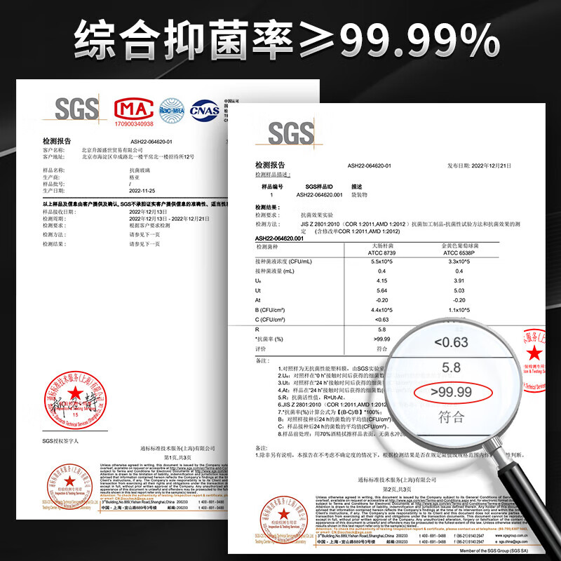 格亚（GEYA）双层玻璃杯男商务高档茶杯玻璃水杯办公泡茶杯杯子团购定制刻字 【升级款】银离子抗菌400ml