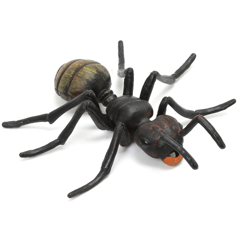 仿真昆虫模型动物玩具蝴蝶蜜蜂蜘蛛蚱蜢螳螂七星瓢虫蜻蜓蟋蟀 黑色蚂蚁