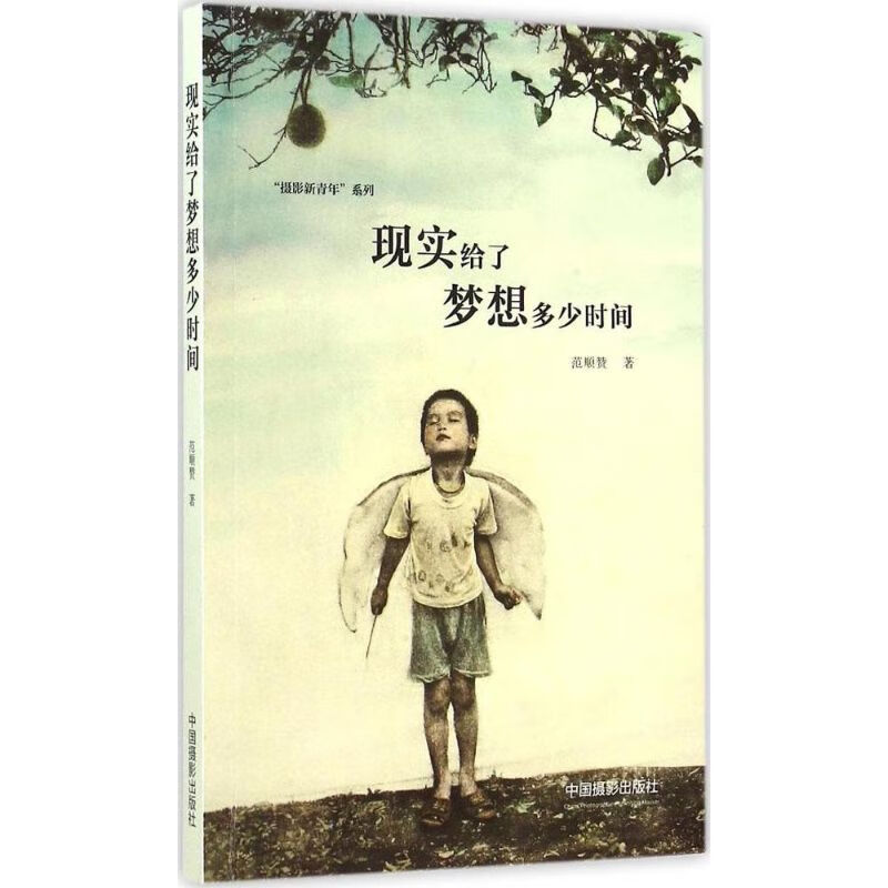 现实给了梦想多少时间 范顺赞 作 书籍