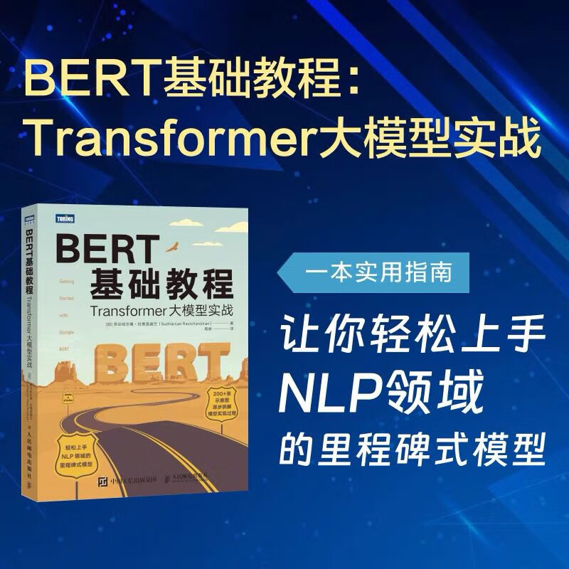 BERT基础教程:Transformer大模型实战 NLP自然语言处理ChatGPT机