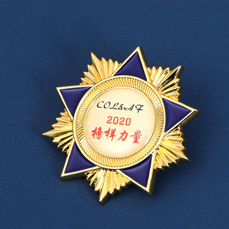 金属徽章定做胸章勋章胸针定制作校徽班徽司徽logo纪念币奖牌订做