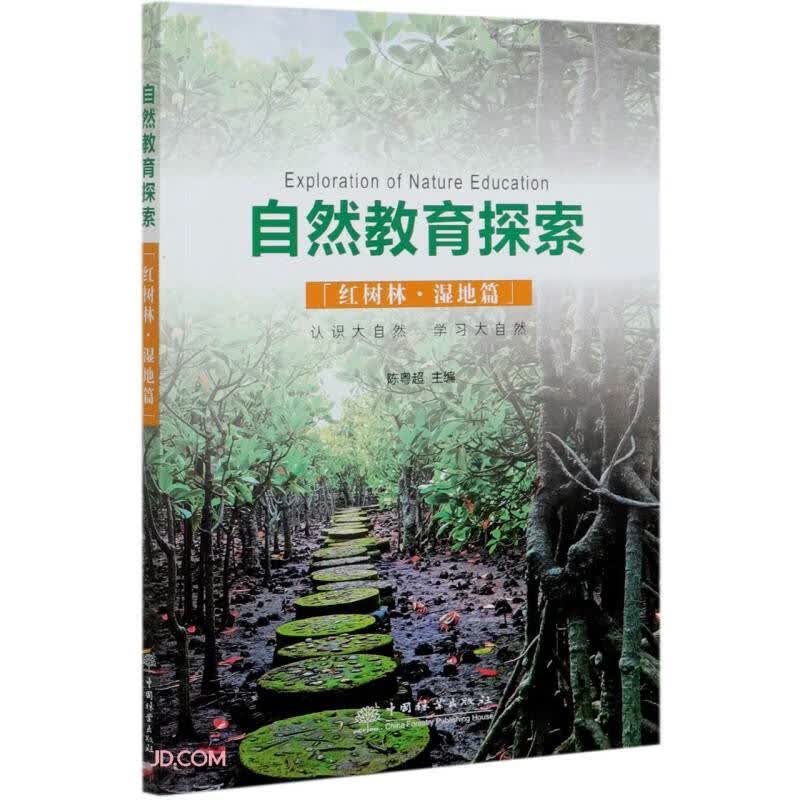自然教育探索(红树林湿地篇)