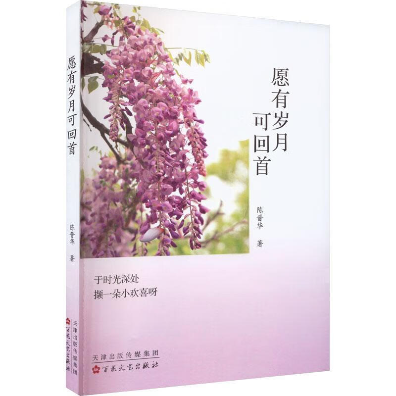 愿有岁月可回首文学  图书