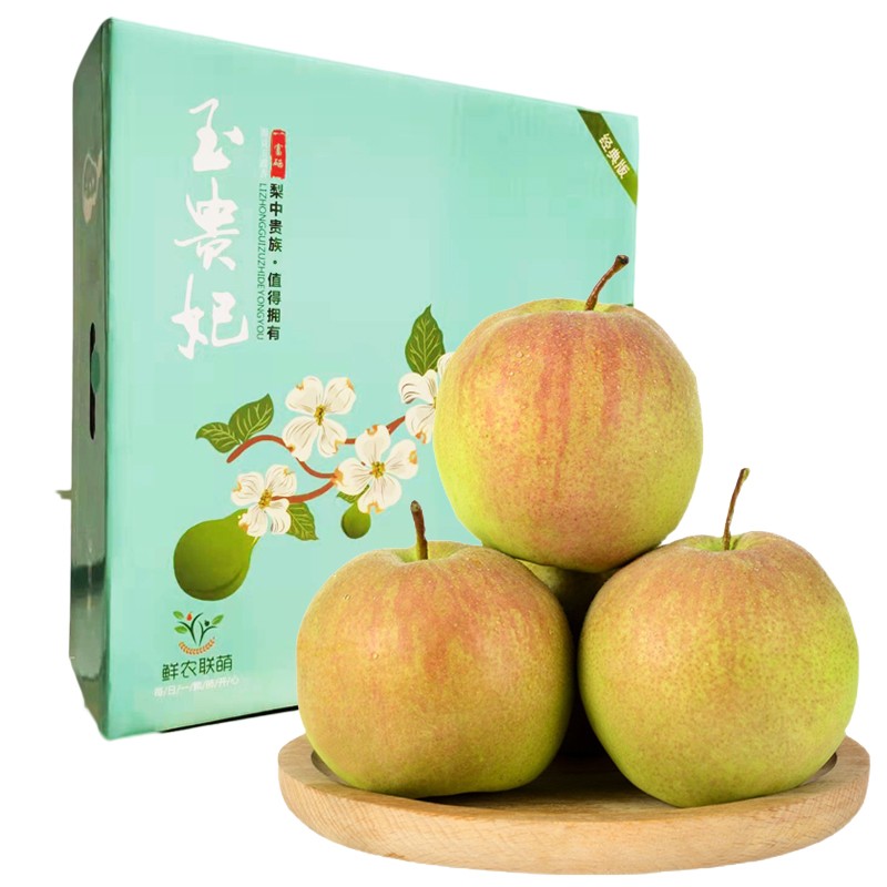 觅式山西玉露香梨 隰县新鲜梨子 生鲜水果整箱当季大果特产礼盒装 9枚
