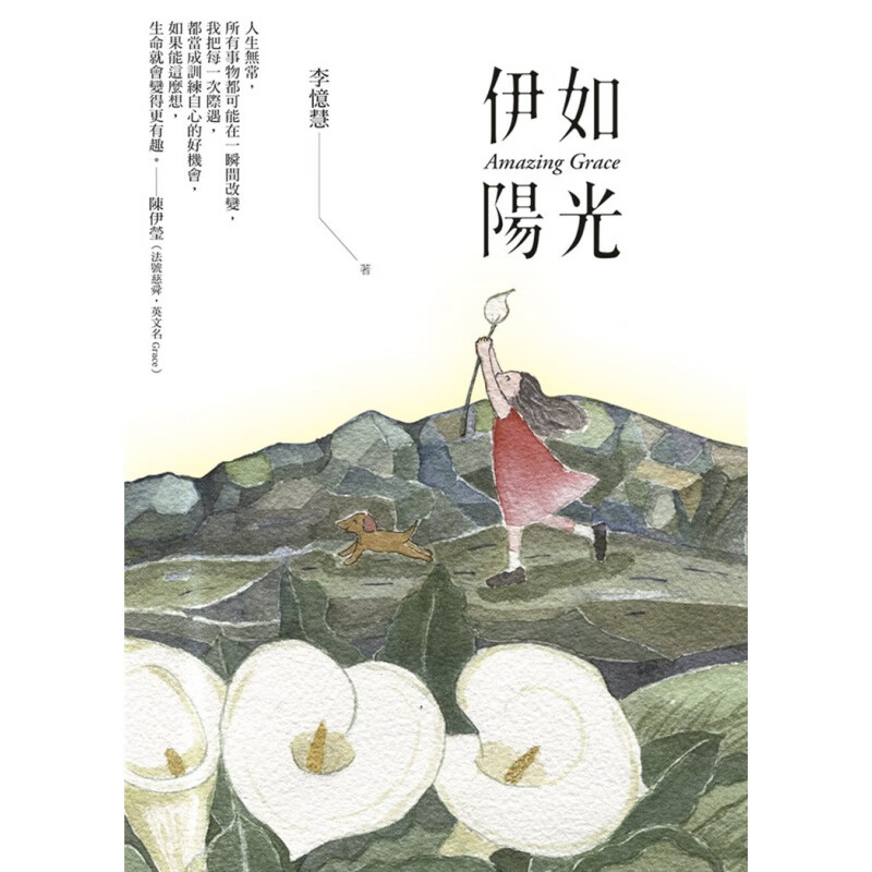 现货正版 伊如阳光Amazing Grace 20 李忆慧 慈济传播人文志业 进口原版