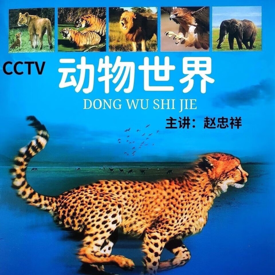 居道科教经典动物世界全集dvd碟片全集讲解赵忠祥版光盘5碟