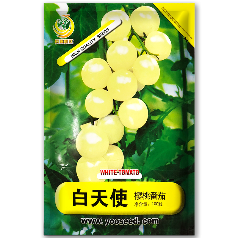 鳳鳴雅世白天使小番茄種子100粒櫻桃小番茄種孑可留種春季四季盆栽