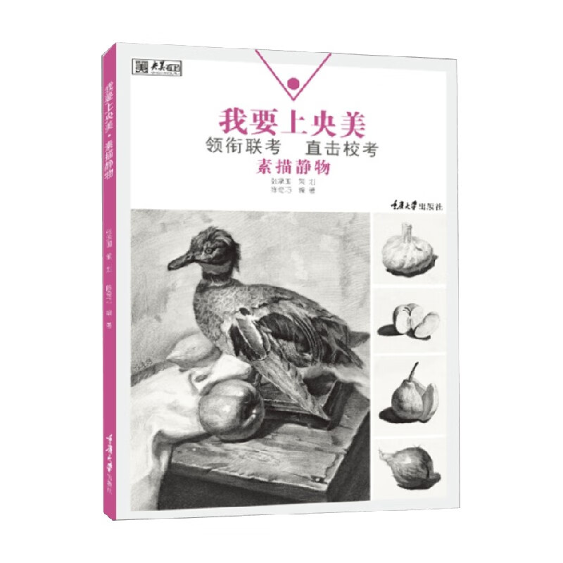 我要上央美 静物素描 陈奇巧 著 绘图
