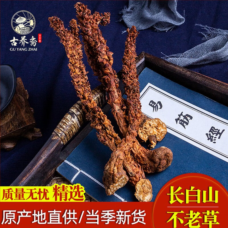 不老草 不老草 野生 不老草长白山 搭配回春草野生不老草 泡不老草酒