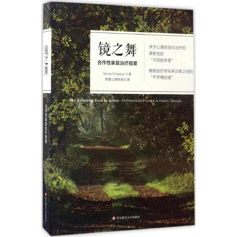 镜之舞:合作性家庭治疗指要