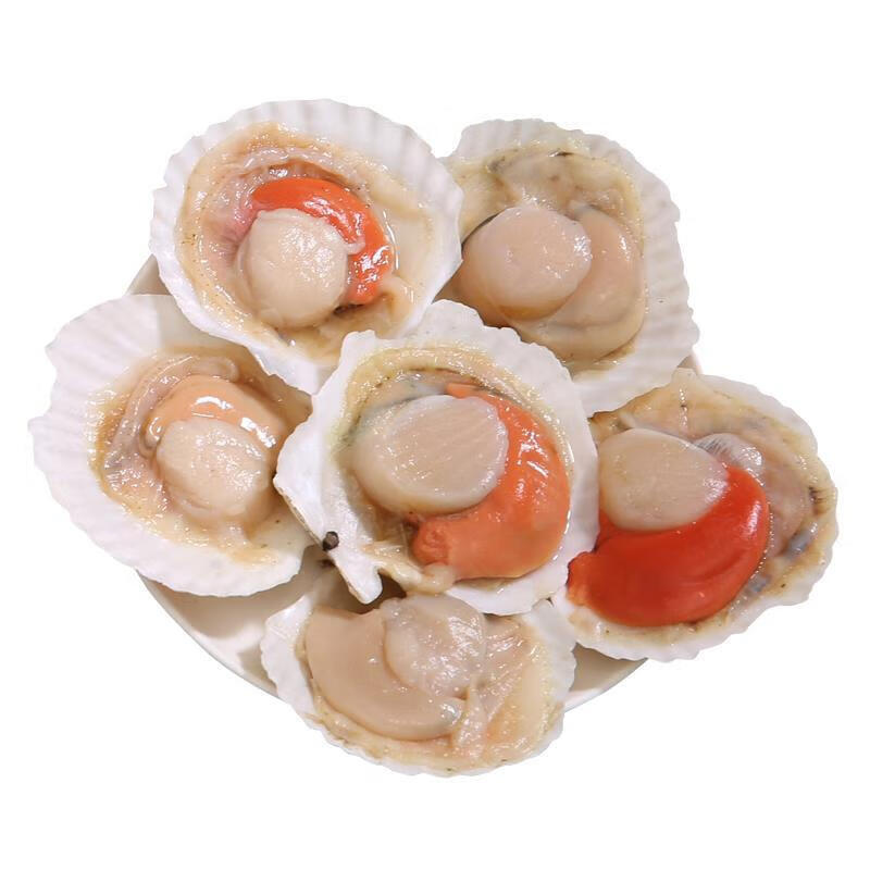 伯贤 生鲜大连扇贝烧烤火锅食材海鲜水产500g 7-8个500g