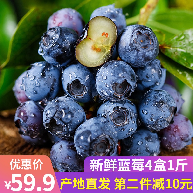 第二件减10 新鲜水果蓝莓 4盒装 带盒共500g 时令新鲜水果