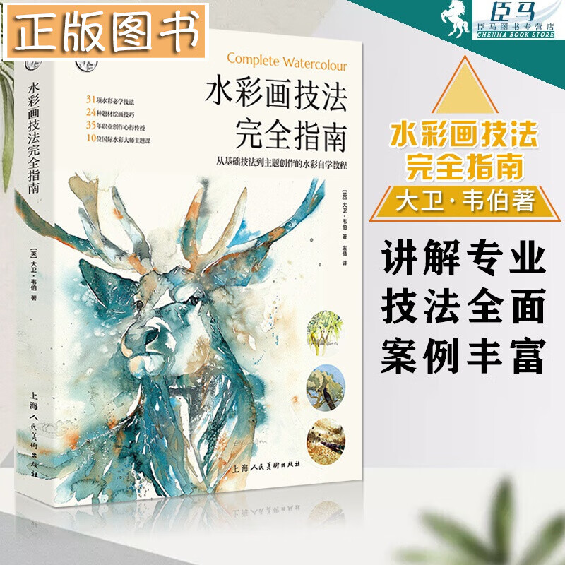 水彩画技法完全指南 大卫·韦伯 西方经典美术技法译丛 从基础技法到主题创作的水彩自学教程