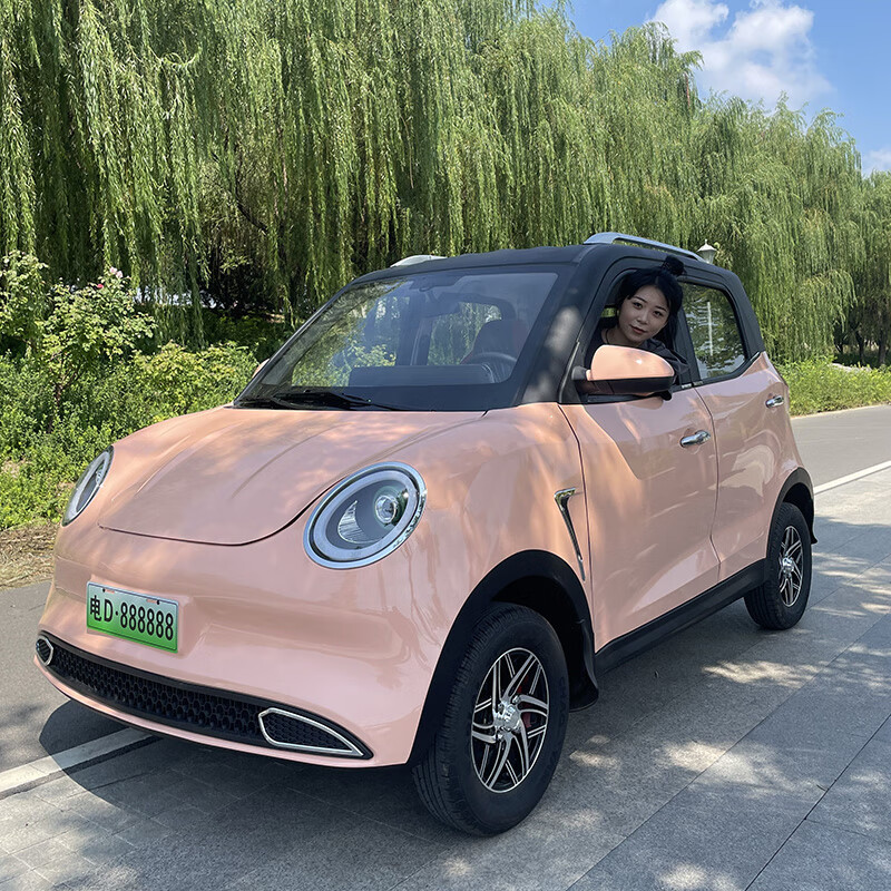 致屿新能源女士四轮电动车家用老头乐小型全封闭电轿低速代步汽车悦享