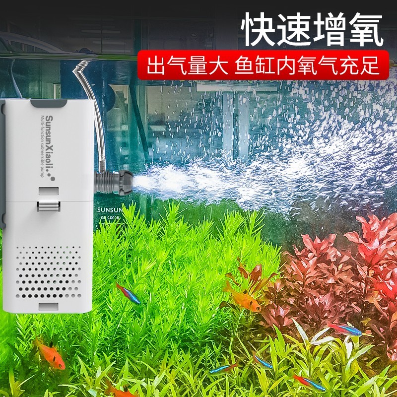 森森高性能过滤器/水泵商品——提供清洁水源的理想选择|京东看过滤器水泵最低价