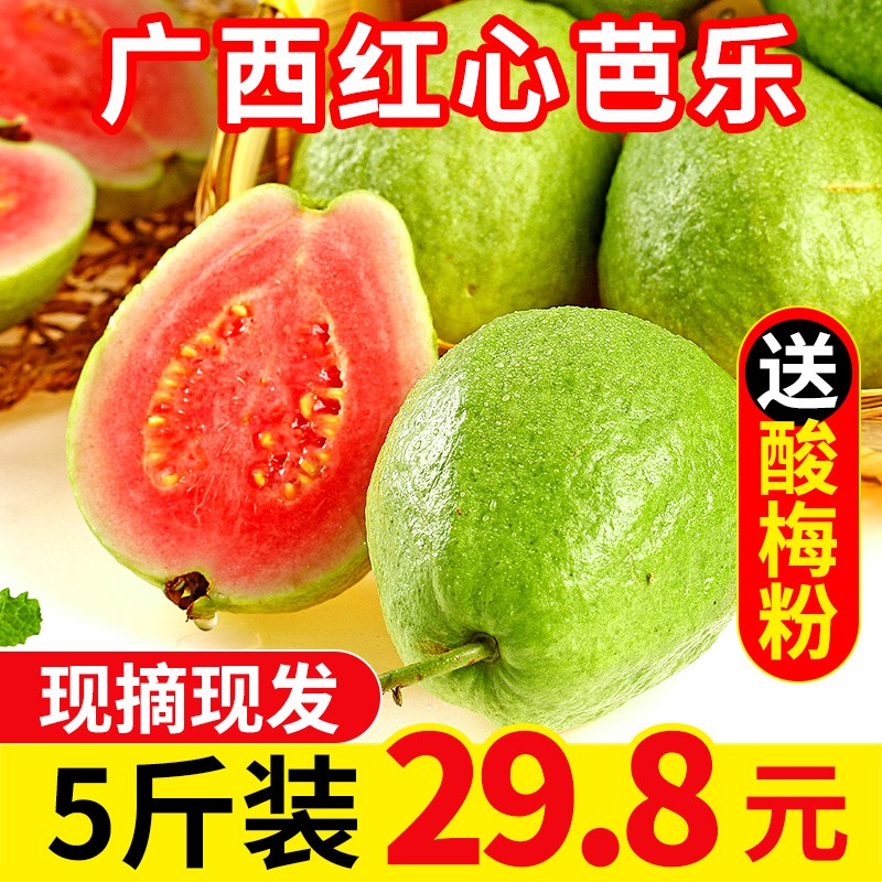 曙光 广西红心芭乐番石榴 芭乐果 带箱5斤装  新鲜水果 芭乐 5斤装