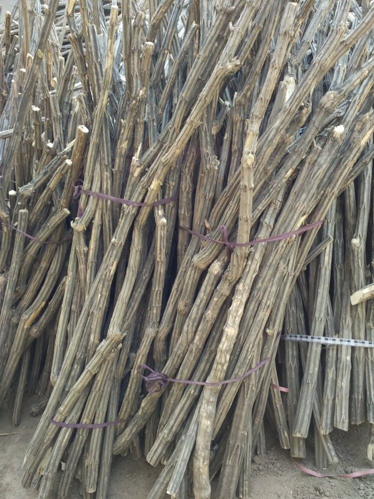 snqpa六道木 原木棍 五台山九道木降龙木原木拐杖鞭杆武术棍 六道木鞭