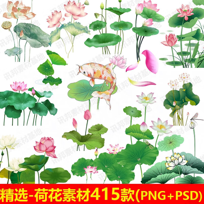 荷花荷叶莲花高清素材古典中国墨植物图案设计元素png免抠6