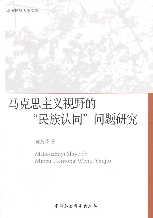 马克思主义视野的“民族认同”问题研究【正版图书】