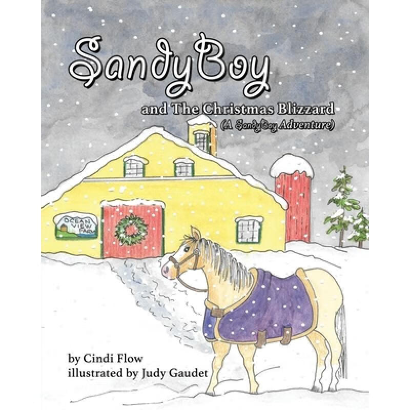 预订 sandyboy and the christmas blizzard (a sandy.