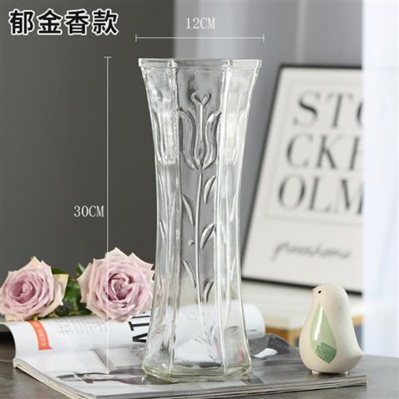 【加高加厚玻璃花瓶】大号玻璃花瓶透明水养富贵竹花瓶客厅家用插