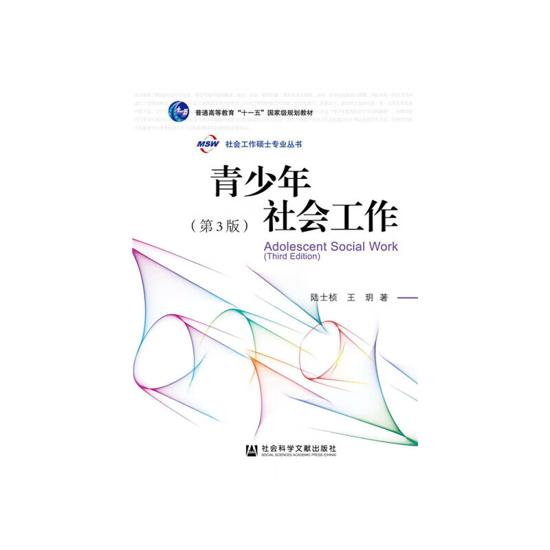 青少年社会工作(第3版)