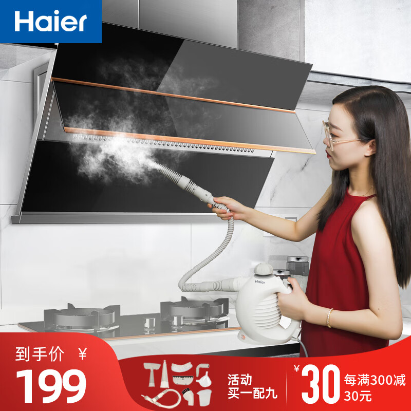 海尔（haier）蒸汽清洁机高温家用厨房多功能高压消毒神器油污油烟机清洗机 蒸汽清洁机
