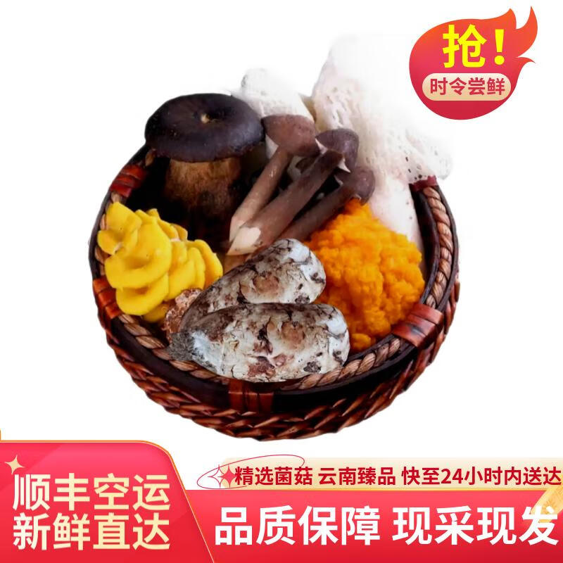 云芳斋七彩新鲜菌菇 煲汤食材 云南特产 菌菇组合 火锅煲汤1000克属于什么档次？