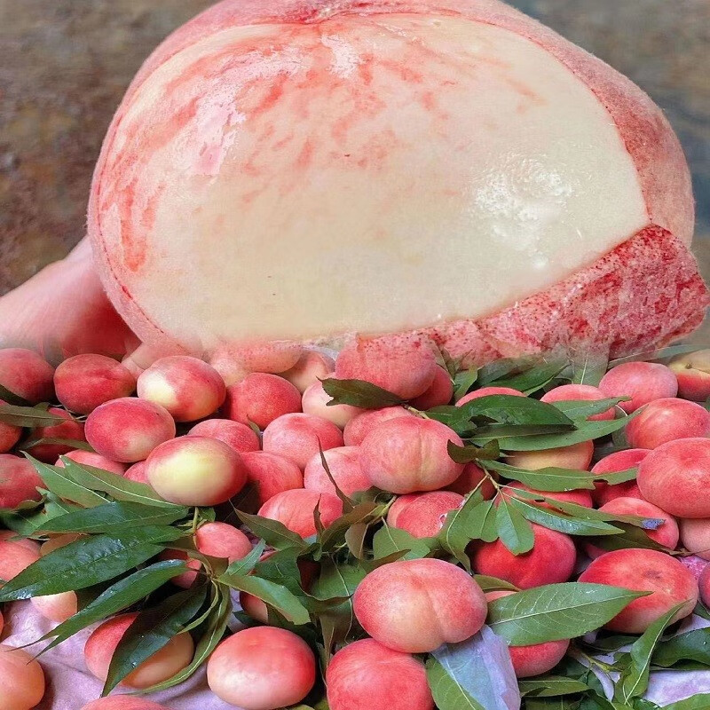 桃商品的历史价格查询|桃价格比较