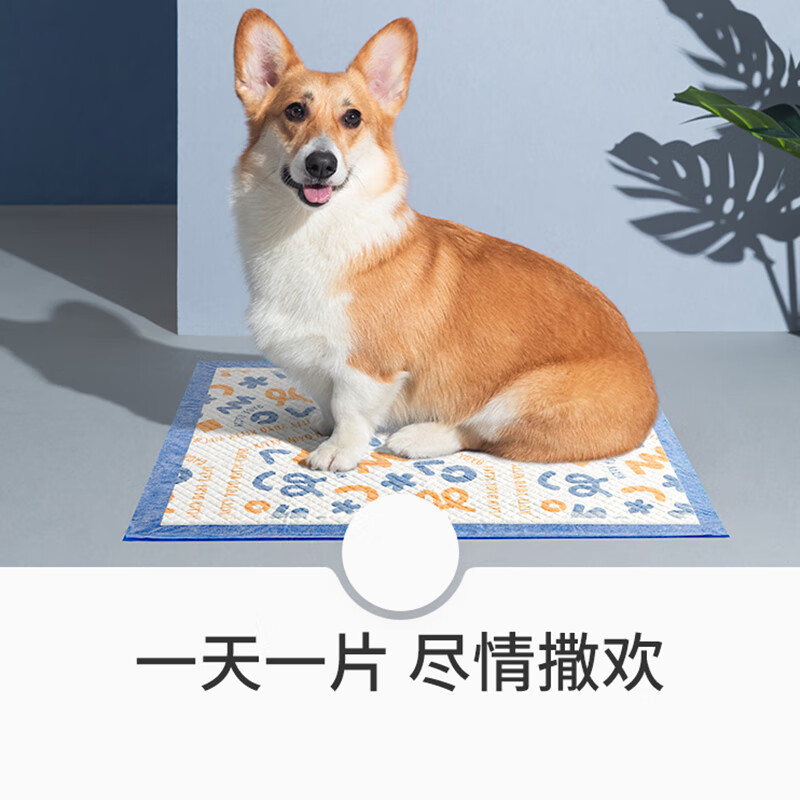 �����루CHUGOUXIANG���������Ӻ�С������Ƭ��ʪ����è�������ˮ��wj������ ���ͳ���40Ƭ+L-���ͳ���20Ƭ