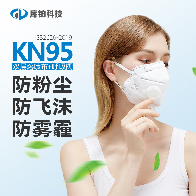 5雾霾个人呼吸防护劳保用品 10只耳戴款(2007v)