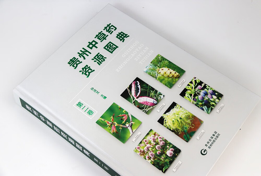 贵州中草药资源图典.第二卷 中医基础