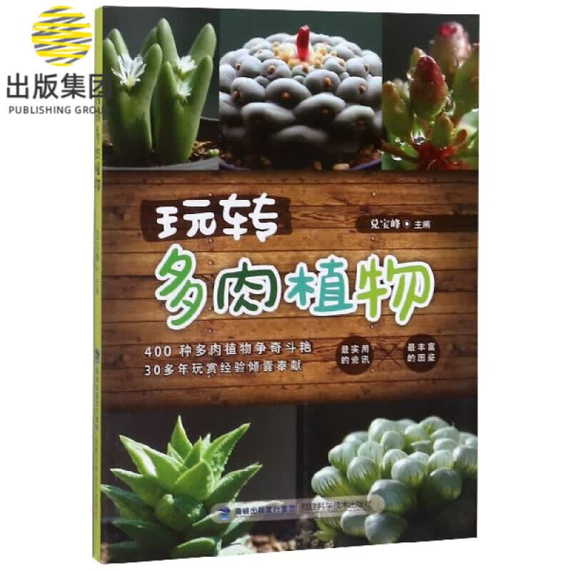 玩转多肉植物