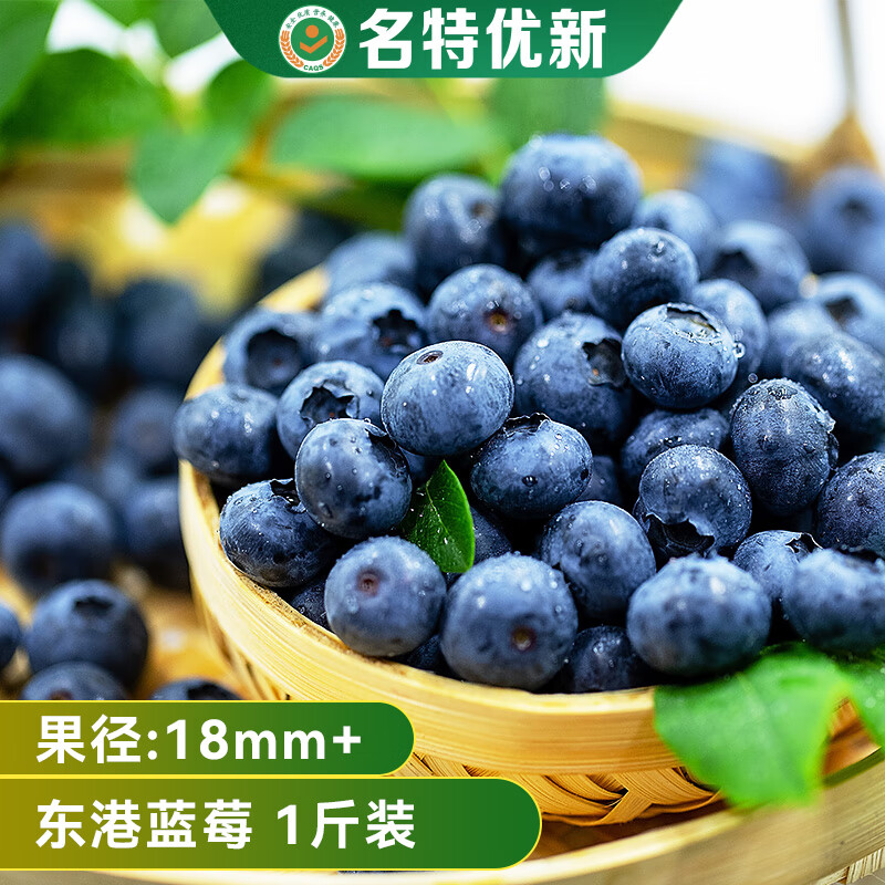 东港蓝莓  国产蓝莓 新鲜水果现采现摘 Jumbo超大果 果径18mm+ 1斤 Jumbo超大 纸箱装