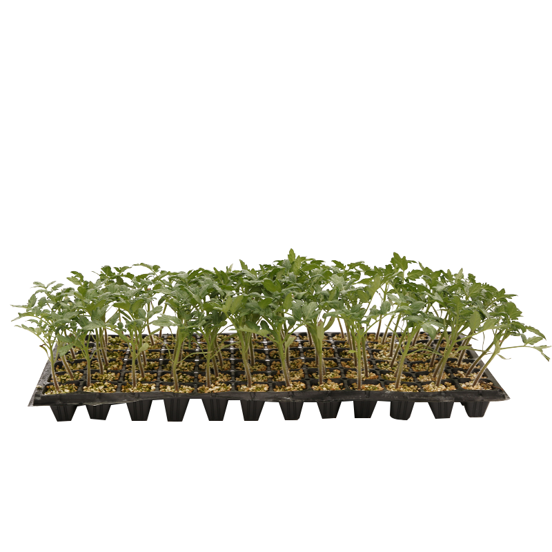 抢购限时，最新价格走势揭秘！