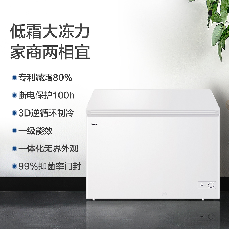 海尔 Haier 303升低霜家商两用冷藏冷冻转换冰柜 鑫蓝系列节能单温大冷柜 BC/BD-303HD