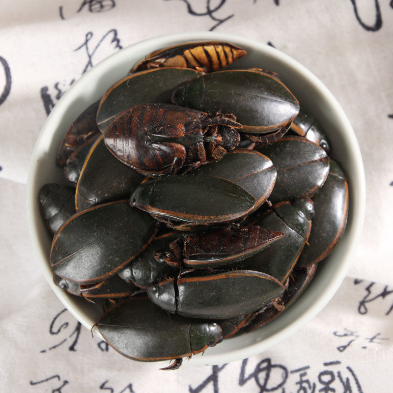 晒干龙虱 中药材金边龙虱 龙狮 另有龙虱粉水鳖虫射尿龟 50克