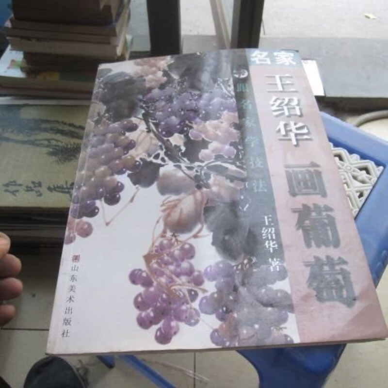 【绝版旧书】跟名家学技法:名家王绍华画葡萄