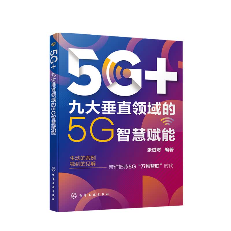 5G+ 九大垂直领域的5G智慧赋能张进财 著