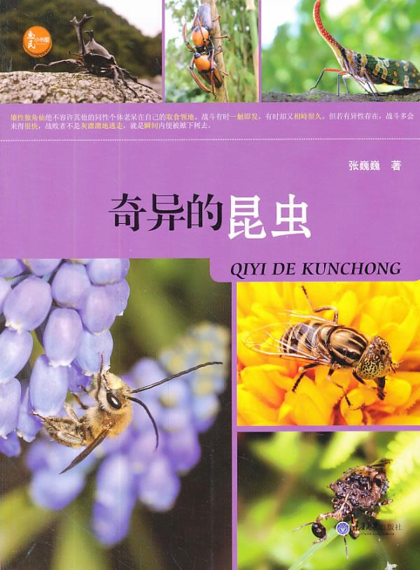 【正版】 奇异的昆虫 张巍巍 著 9787562473169