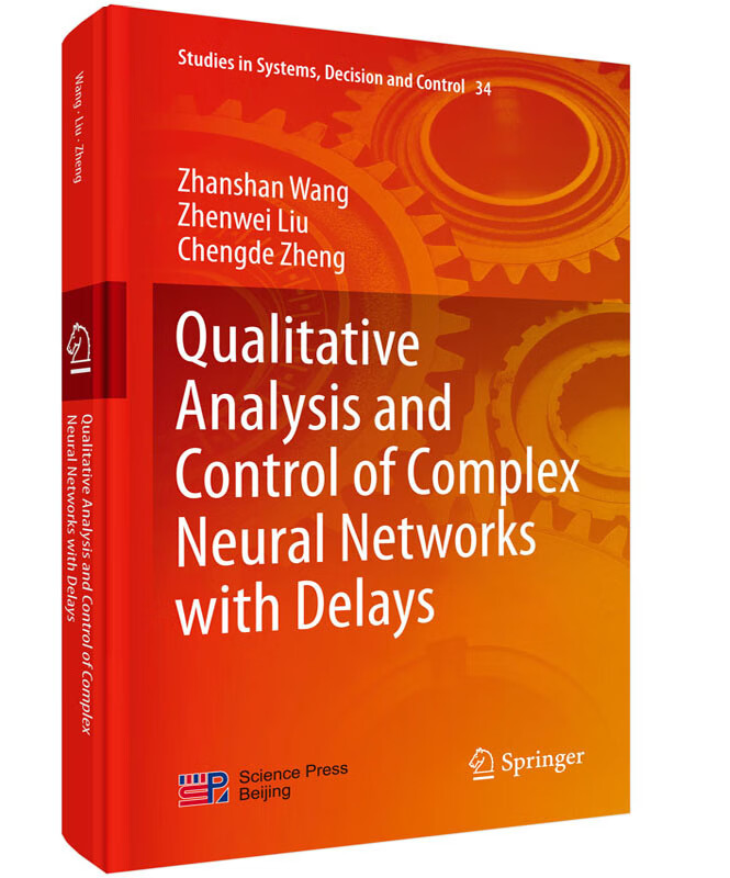 Qualitative Analysis and Control of Complex Neur