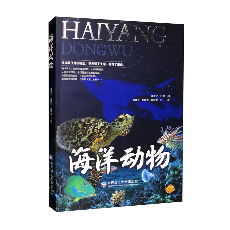海洋动物