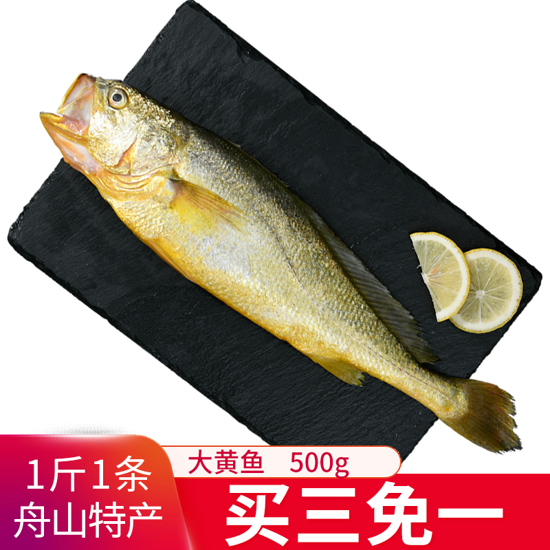 三人港  冷冻黄鱼海水黄鱼小肚子海鲜水产黄花鱼海鲜水产鱼类健康轻食 450g-500g/1条