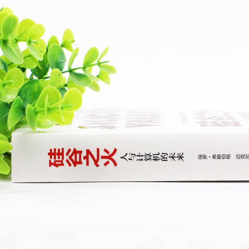 硅谷之火雷军推荐的书人与计算机的未来保罗 弗赖伯格迈克尔斯韦因作品创业与创新企业经营管理成功励志书籍 虎窝购
