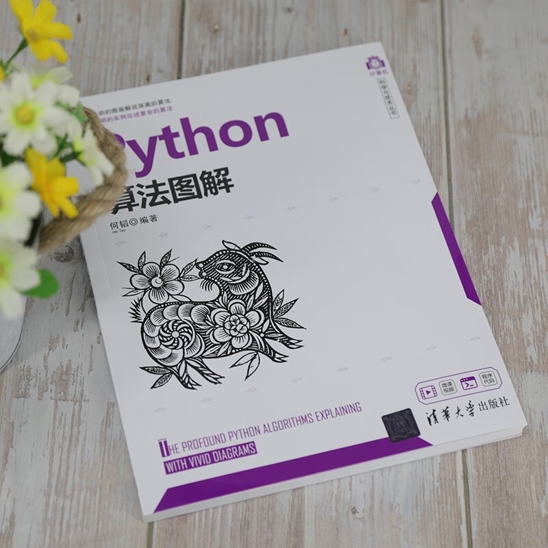Python算法图解（计算机科学与技术丛书）