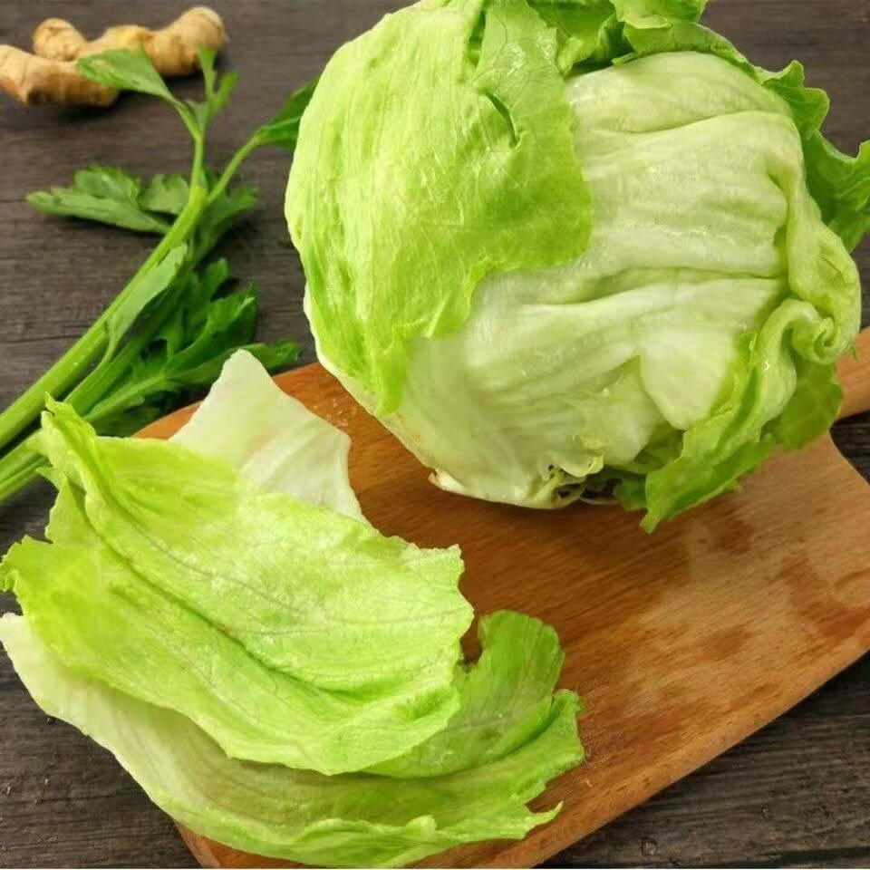 新鲜球生菜西生菜汉堡蔬菜圆生菜 新鲜球生菜 4斤