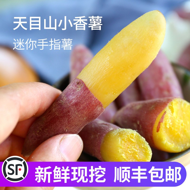 新鲜临安天目山小香薯红薯 板栗番薯迷你金手指沙地瓜黄心山芋 5斤