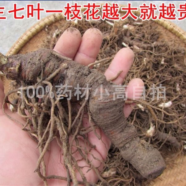 正宗重楼蚤休七叶一枝花独角莲草河车新鲜无硫中药材500g 一斤500克